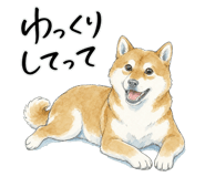 883950577