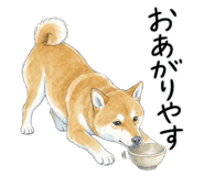 883950578