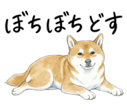 883950580