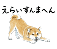 883950582
