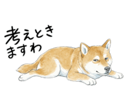 883950594