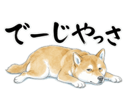 883953825