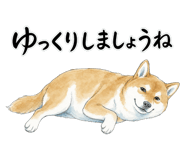 883953826