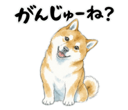 883953831