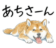 883953835