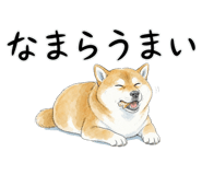 883971713