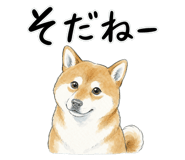 883971716