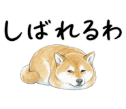 883971717