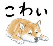 883971724
