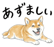 883971725