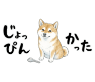 883971727