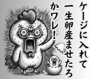883973048