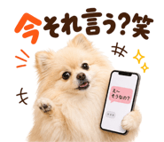 883984953