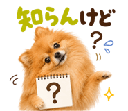 883984954