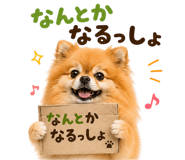 883984986