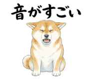 883992574
