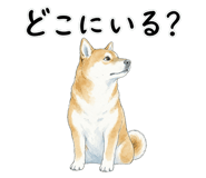883992579