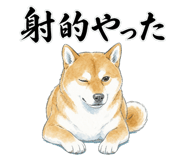 883992587
