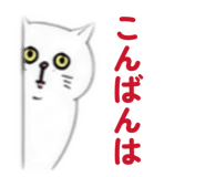 884015778