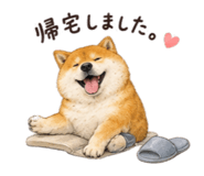 884044612