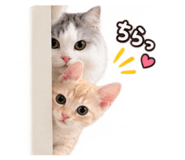 884048983