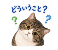 884049742