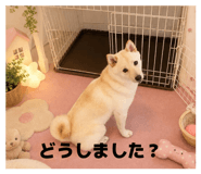 884078975