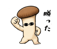 884082155