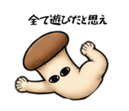 884082167