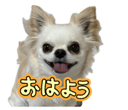 884084198