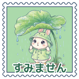 884097806