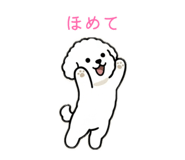 884113288