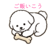 884113294