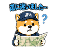 884119504