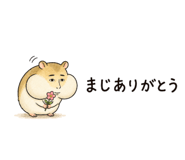 884120142