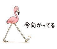 884120166