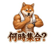 884138657