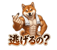 884138658