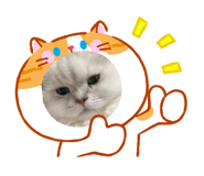 884141017