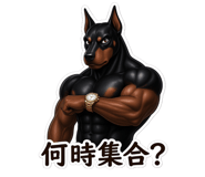 884141785