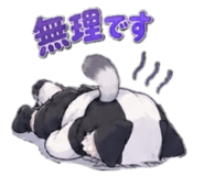 884142121