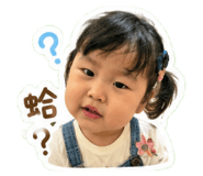 884161333