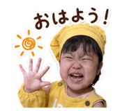 884161334