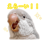884162364