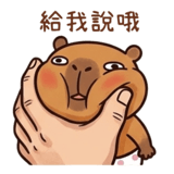 884169715