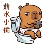 884169717