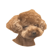 884194627