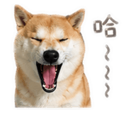 884195620