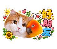 884204699
