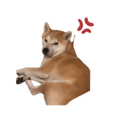 884206204